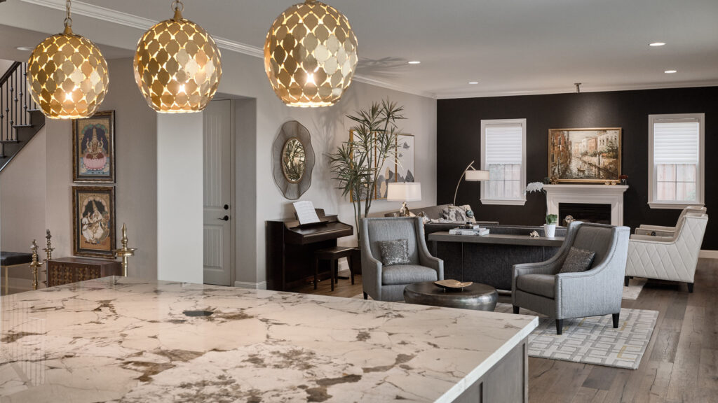 raashi-design-walnut-creek-ca-full-gut-reno-open-concept-home-stone-island-view-into-living-room-luxury-finishes-and-furnishings-elegant-interior-design